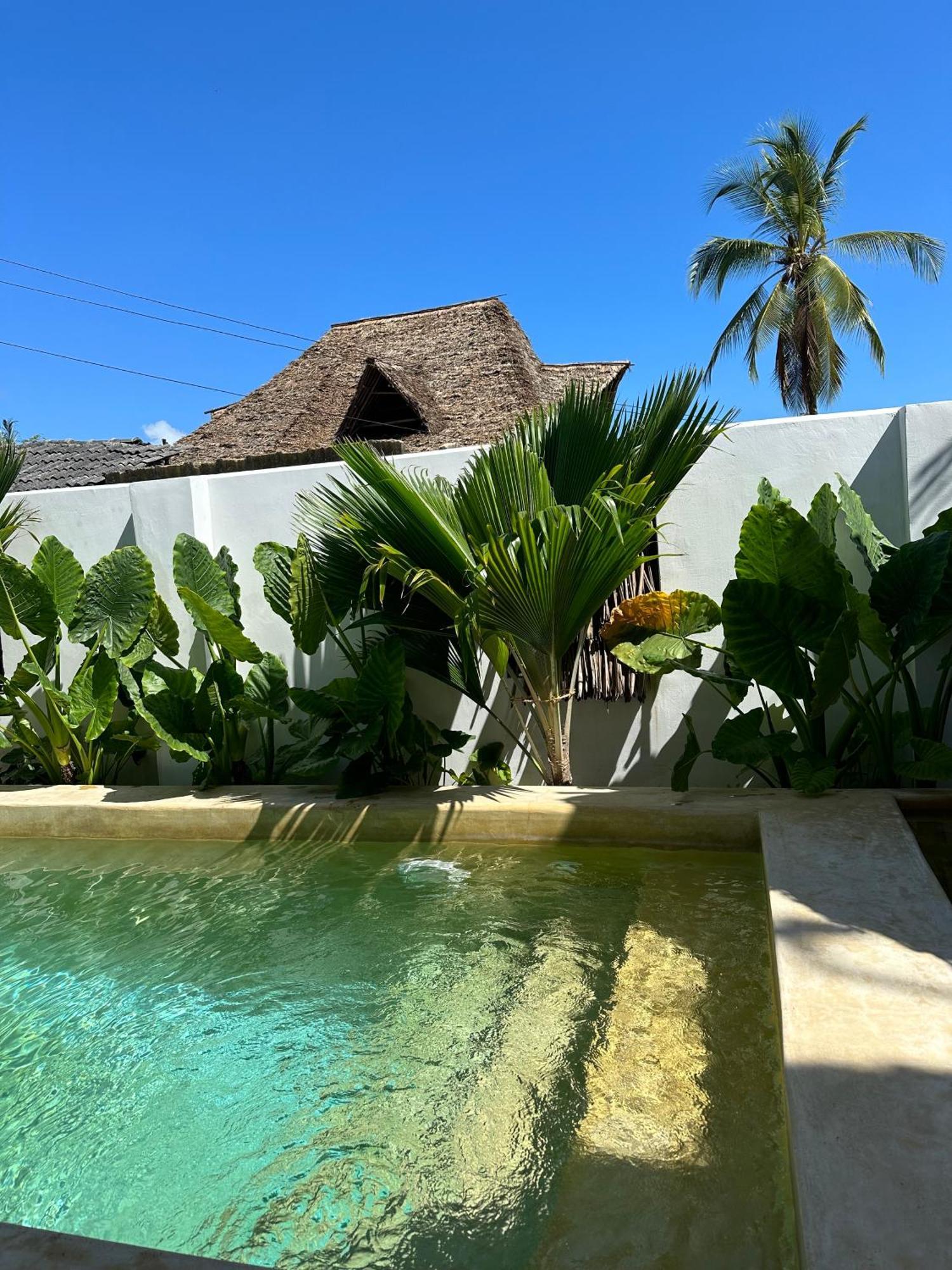 Mlango Paje Villa Boutique Bagian luar foto