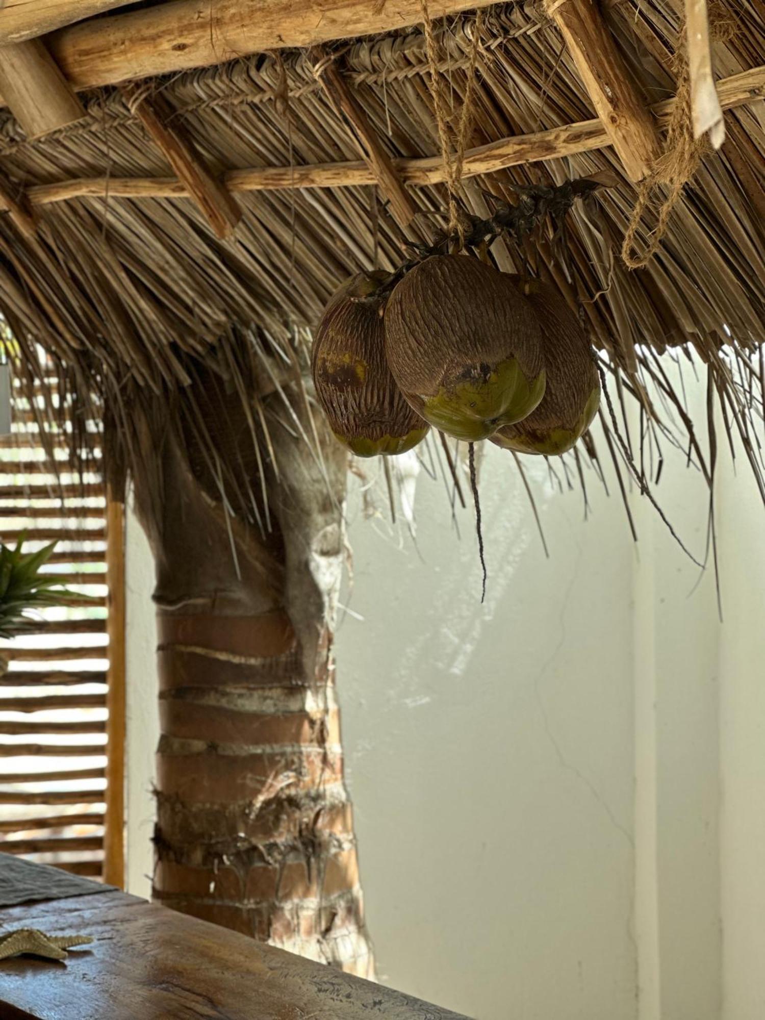 Mlango Paje Villa Boutique Bagian luar foto
