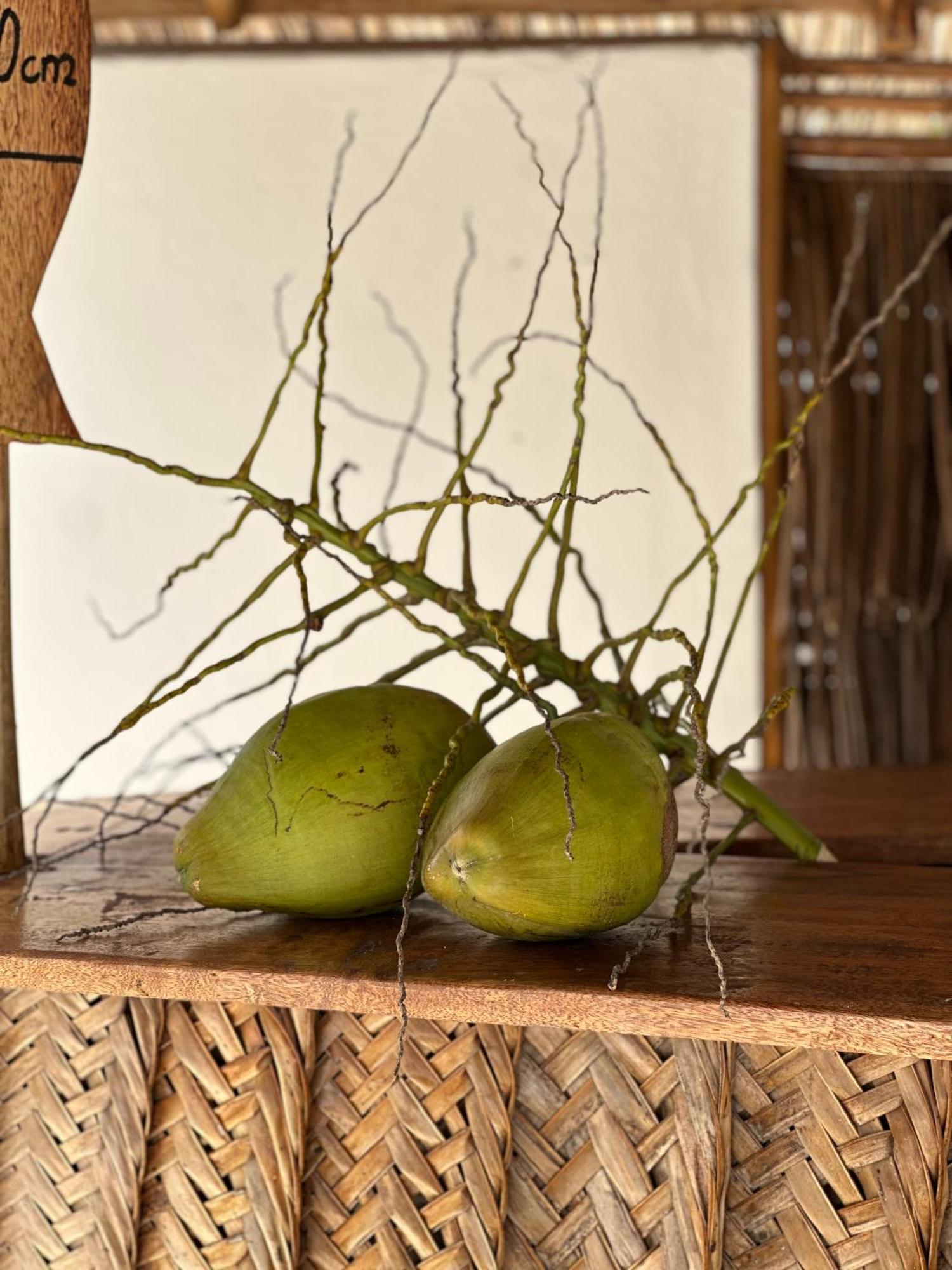 Mlango Paje Villa Boutique Bagian luar foto